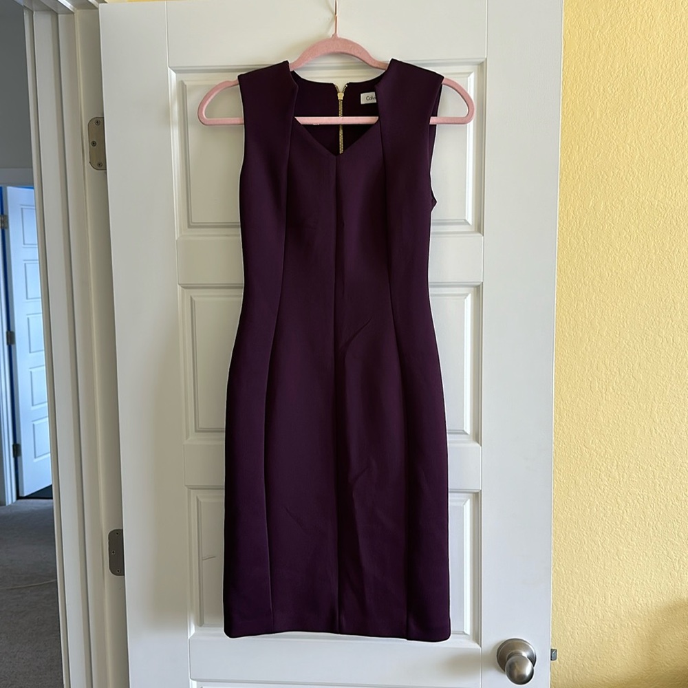 Dark plum colored dress.